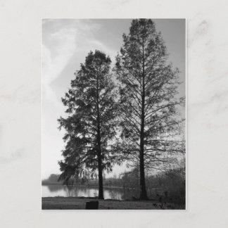 ウィーンメリーランドウォーターフロント ポストカード