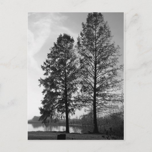 ウィーンメリーランドウォーターフロント ポストカード (正面)