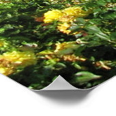 ウィーンヴォルクスガルテンバラ ポスター (角)