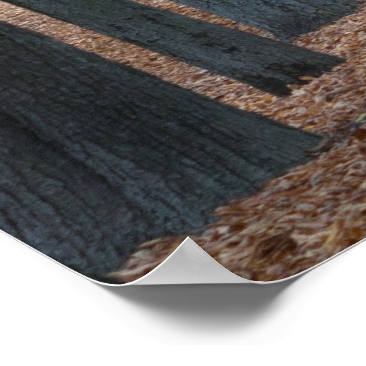 ウィーン・オステライヒ・シェーンブルンのフィエーカーズ ポスター (角)