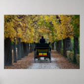 ウィーン・オステライヒ・シェーンブルンのフィエーカーズ ポスター (正面)