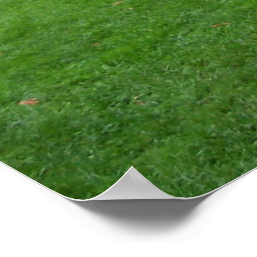 ウィーン ポスター (角)