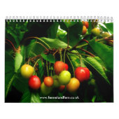 ウイキョウおよびシダ2010のカレンダー カレンダー (カバー)