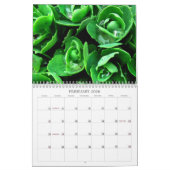 ウイキョウおよびシダ2010のカレンダー カレンダー (2月 2026)