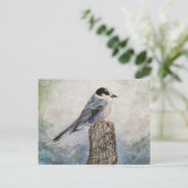 ウイスキージャックはがき ポストカード (スタンド正面)