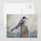 ウイスキージャックはがき ポストカード (正面/裏面)