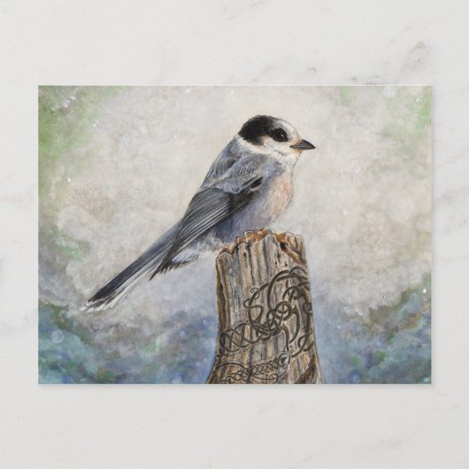 ウイスキージャックはがき ポストカード (正面)