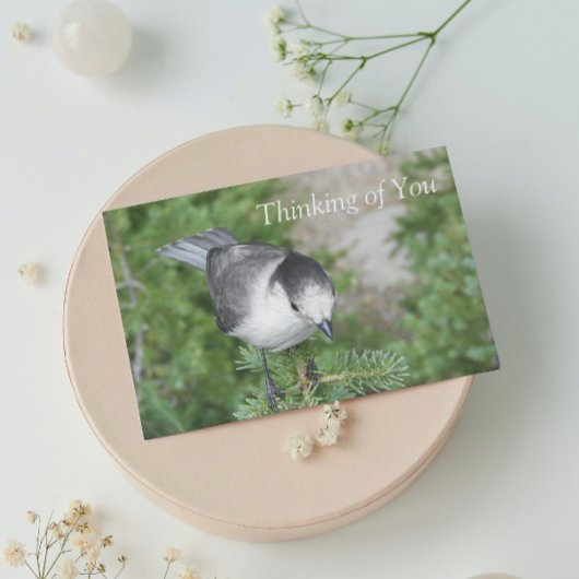 ウイスキー考えジャック写真の空白のYou Card カード