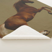 ウイスジャケットthe Horse (by George Stubbs) シェルパブランケット (3/4)