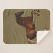 ウイスジャケットthe Horse (by George Stubbs) シェルパブランケット (正面(横))