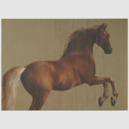 ウイスジャケットthe Horse (by George Stubbs) 薄葉紙