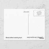 ウイスリングアヒル ポストカード (裏面)