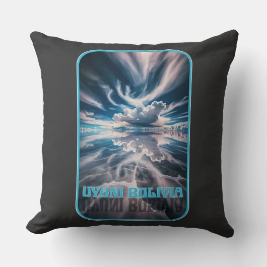 ウイニソルトフラッツボリビア クッション (正面)