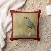 ウイルアメリカンMoJoピローズ クッション (ブランケット)