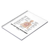 ウイルス得感染は?医学的な解剖学的ユーモア ノートブック (左側)