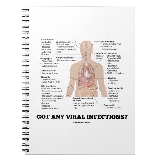 ウイルス得感染は?医学的な解剖学的ユーモア ノートブック (正面)