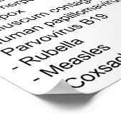 ウイルス感染と種関連図 ポスター (角)