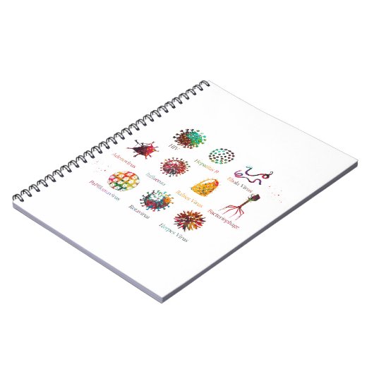 ウイルス違うの種類を示す図 ノートブック (左側)