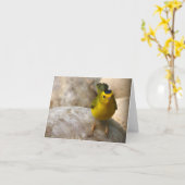 ウイルソンのアメリカムシクイ-ジョーSweeney -カード カード (黄色い花)