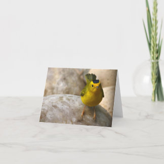 ウイルソンのアメリカムシクイ-ジョーSweeney -カード カード