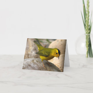 ウイルソンのアメリカムシクイ-ジョーSweeney -カード カード