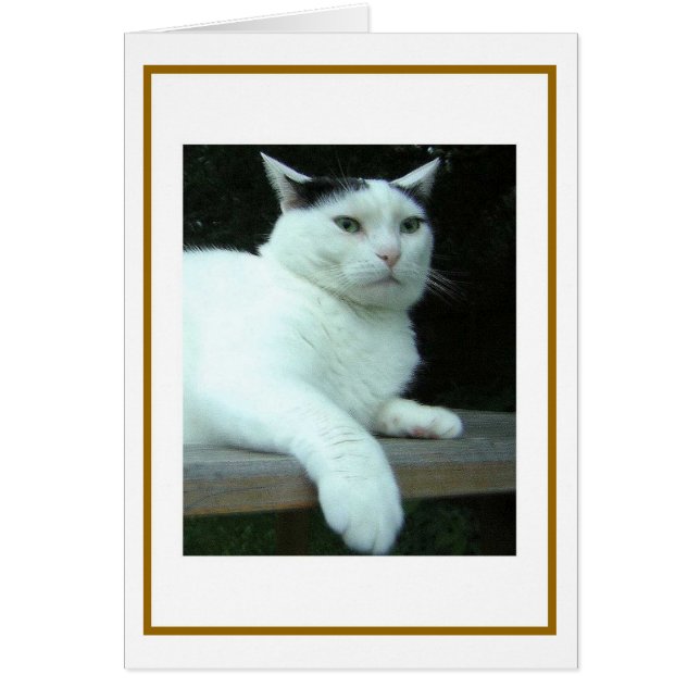 ウイルソンは二番目にカードを考えました (正面)