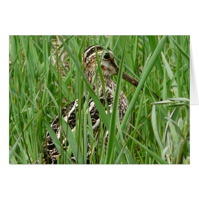 ウイルソンは狙撃します (正面横)