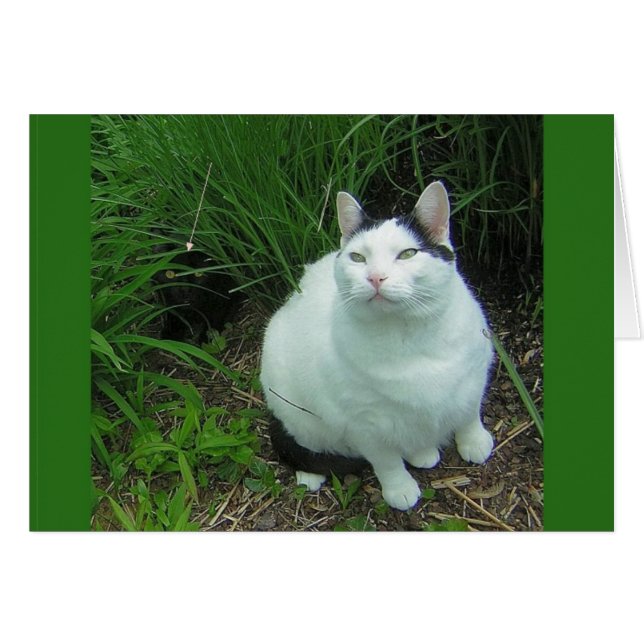 ウイルソン及びUFOの目撃 (正面横)