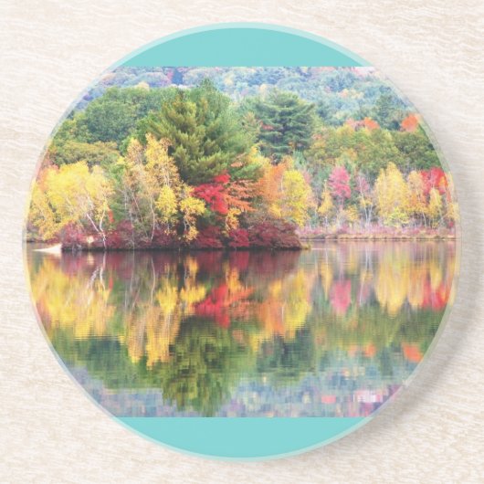 ウイルソン池の島 コースター (正面)