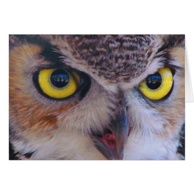 ウイルソンCard氏 (正面横)