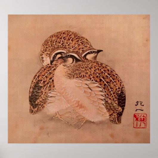 ウイルトリオ ポスター (正面)