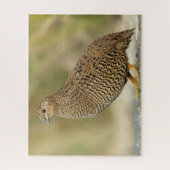 ウイル ジグソーパズル (縦)