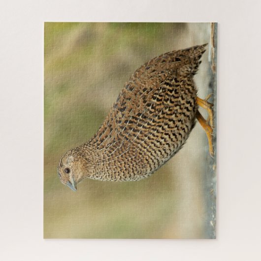 ウイル ジグソーパズル (縦)