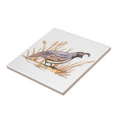 ウイル タイル (側面)