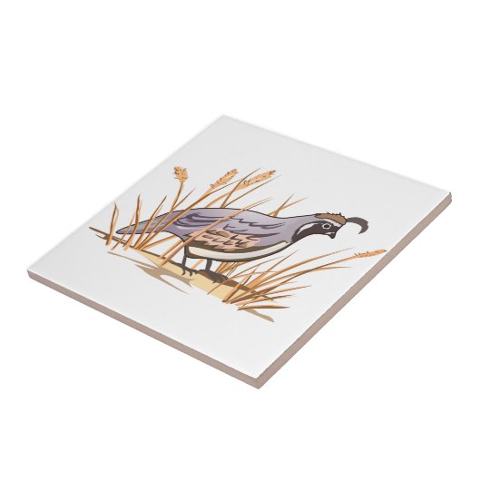 ウイル タイル (側面)