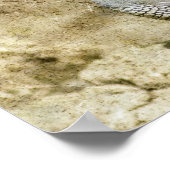 ウイル ポスター (角)