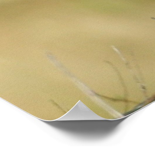 ウイル ポスター (角)