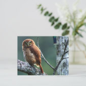 ウイル ポストカード (スタンド正面)