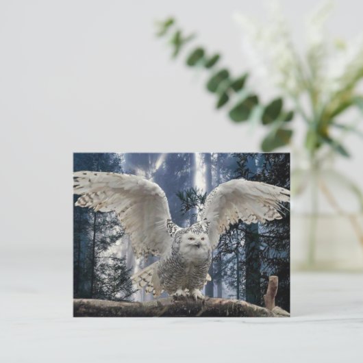 ウイル ポストカード (スタンド正面)