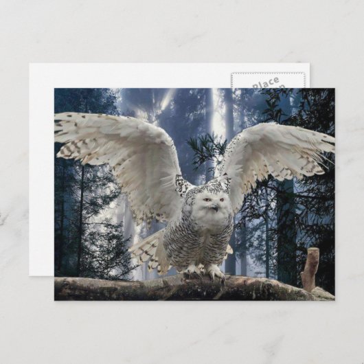 ウイル ポストカード (正面/裏面)