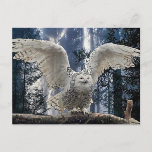 ウイル ポストカード (正面)