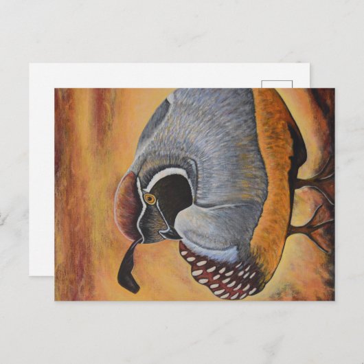 ウイル ポストカード (正面/裏面)