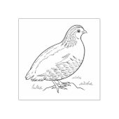 ウイル ラバースタンプ (インプリント)