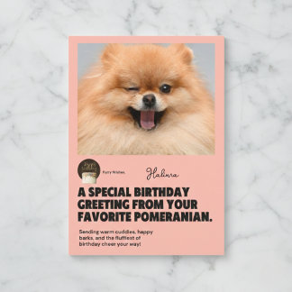 ウインキングポメラニア犬誕生日カード カード