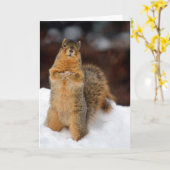 ウインクリュレル カード (黄色い花)