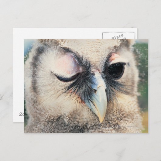 ウインク ポストカード (正面/裏面)