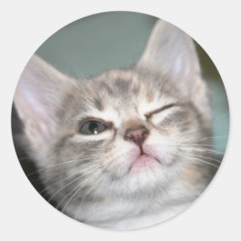 *ウインク* ラウンドシール