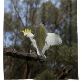 ウイングを広げるオウム シャワーカーテン (正面)