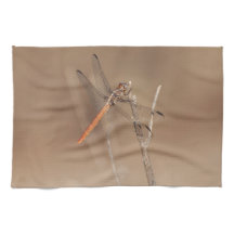 ウイング・オブ・金ゴールド・トンボ