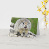 ウインタグラウンドリスノテカルド カード (黄色い花)